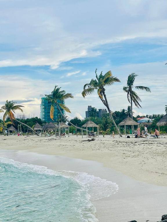 Guraidhoo Beach with palm trees and turquoise water in the Maldives